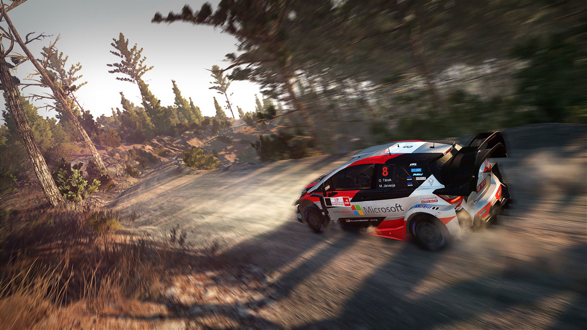 screenshot_WRC 8